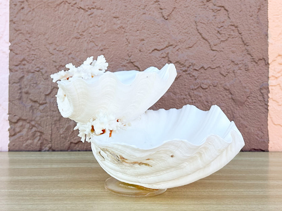 Seashell and Lucite Serving Set
