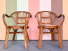 Pair of Cute Rattan Arm Chairs