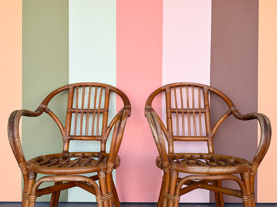 Pair of Cute Rattan Arm Chairs