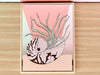 Pair of Shell Chic Painted Mirrors