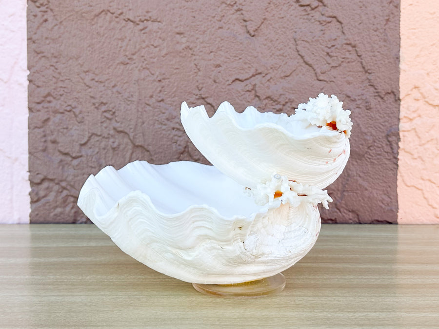 Seashell and Lucite Serving Set