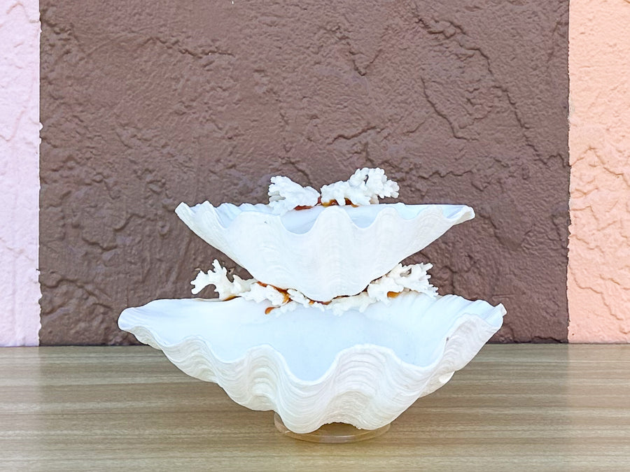 Seashell and Lucite Serving Set