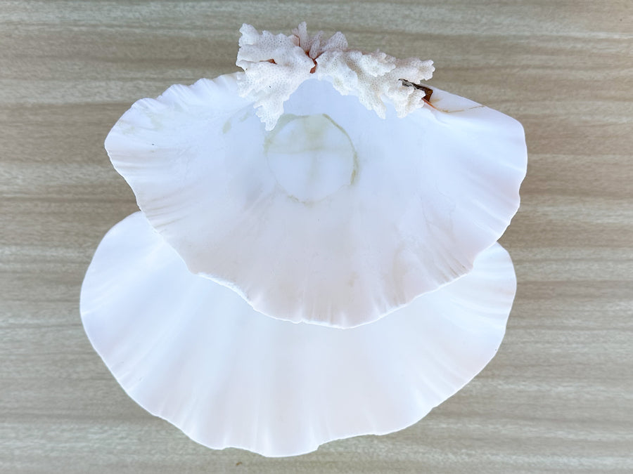 Seashell and Lucite Serving Set