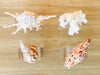 Set of Four Shell Lucite Napkin Rings