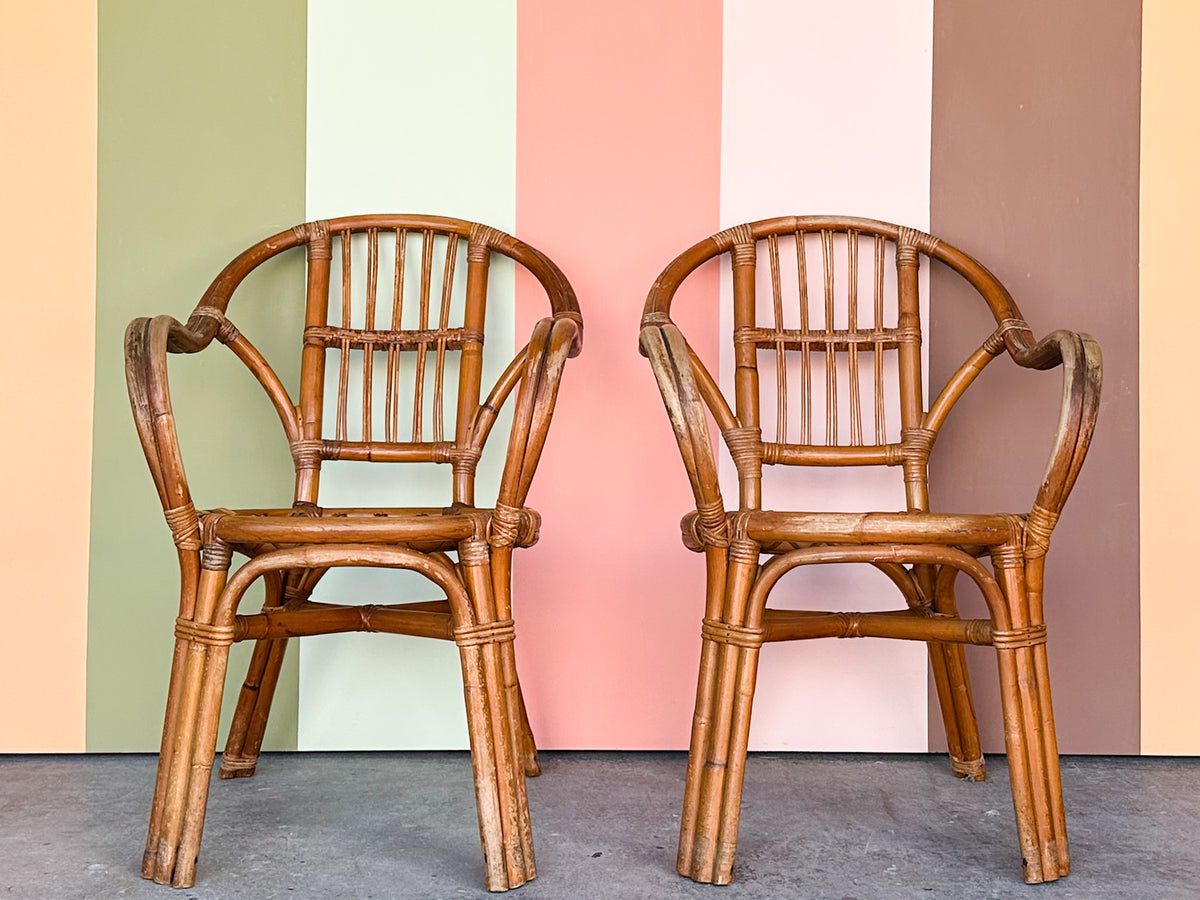 Pair of Cute Rattan Arm Chairs