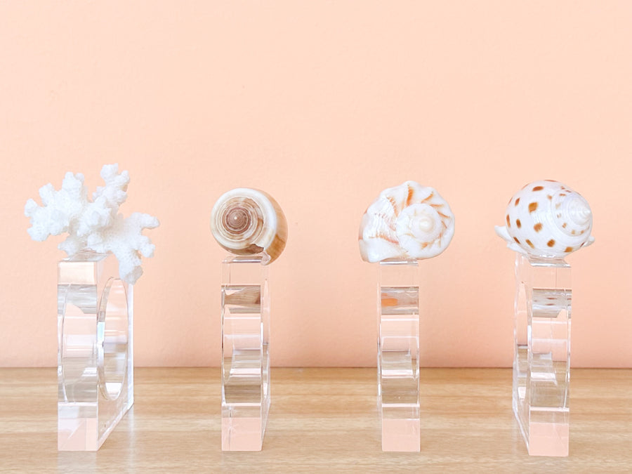 Set of Four Shell Lucite Napkin Rings