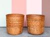 Pair of Rattan Plant Stands