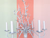 Charming Faux Coral Chandelier