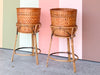 Pair of Rattan Plant Stands