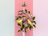 Italian Yellow Bird Tole Lamp
