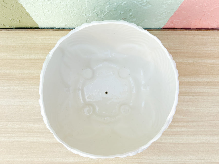 White Shell Cachepot