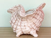 Neutral Shell Cachepot