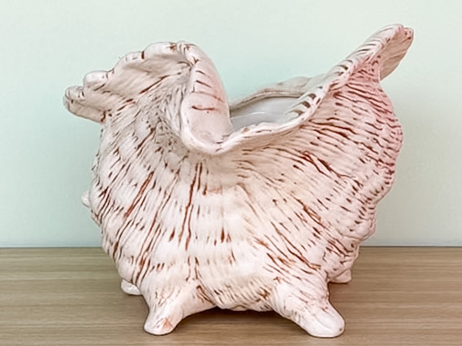Neutral Shell Cachepot