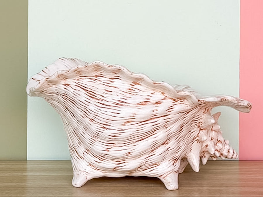 Neutral Shell Cachepot