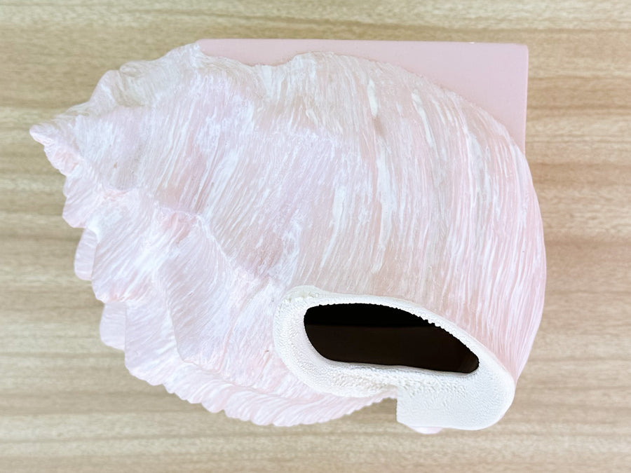 Conch Shell Tissue Holder
