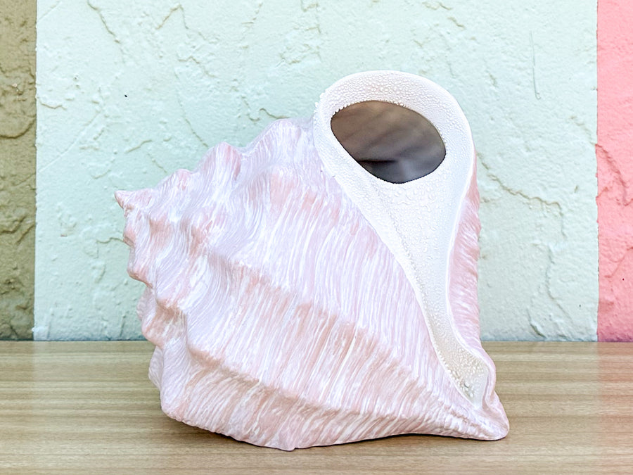 Conch Shell Tissue Holder