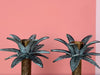Pair of Palm Tree Candle Holders
