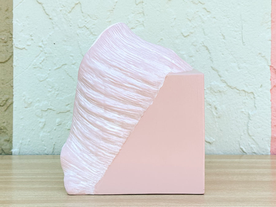Conch Shell Tissue Holder
