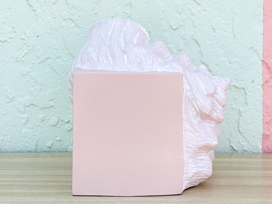 Conch Shell Tissue Holder