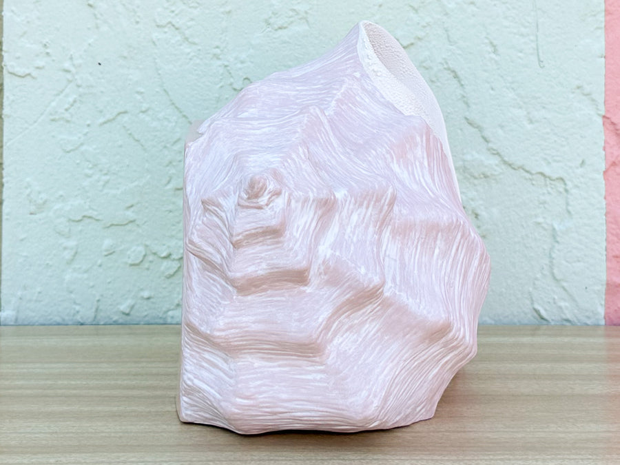 Conch Shell Tissue Holder
