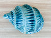 Turquoise Ceramic Conch Shell
