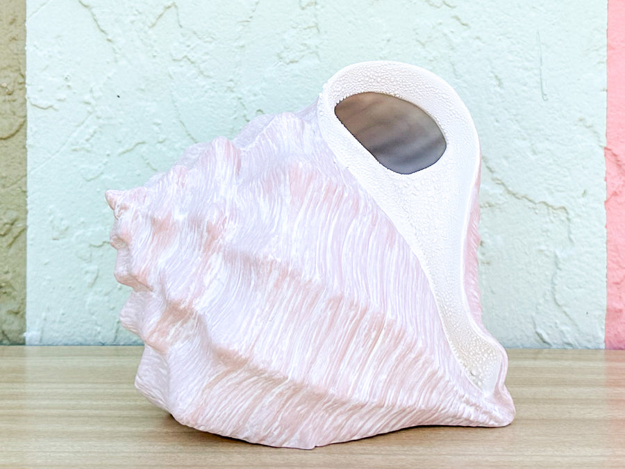 Conch Shell Tissue Holder