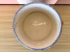 Pretty Periwinkle Seashell Cachepot