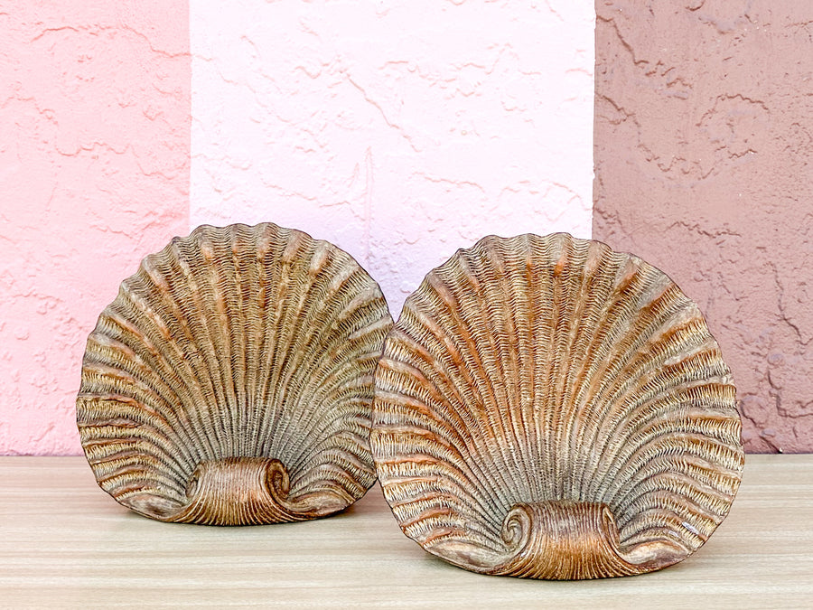 Pair of Large Shell Bookends
