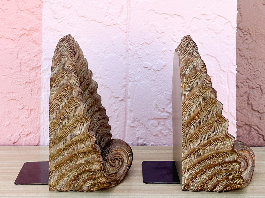 Pair of Large Shell Bookends