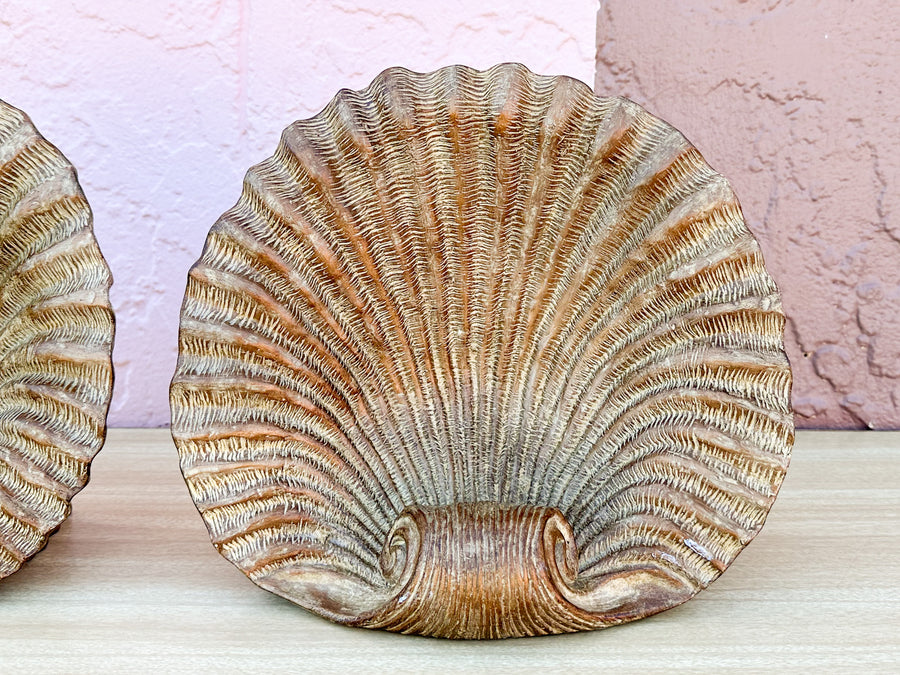 Pair of Large Shell Bookends