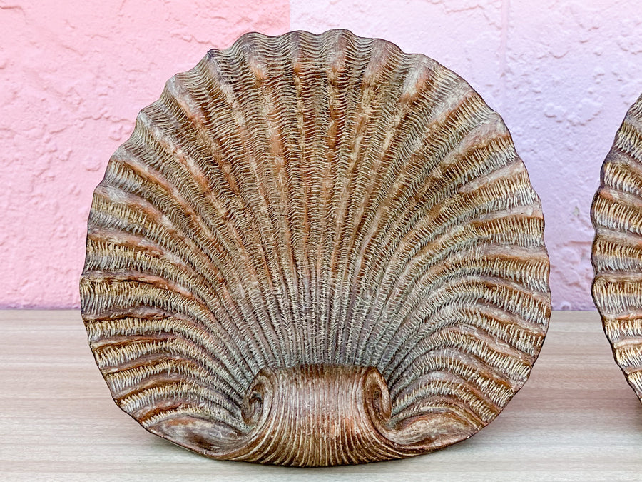 Pair of Large Shell Bookends