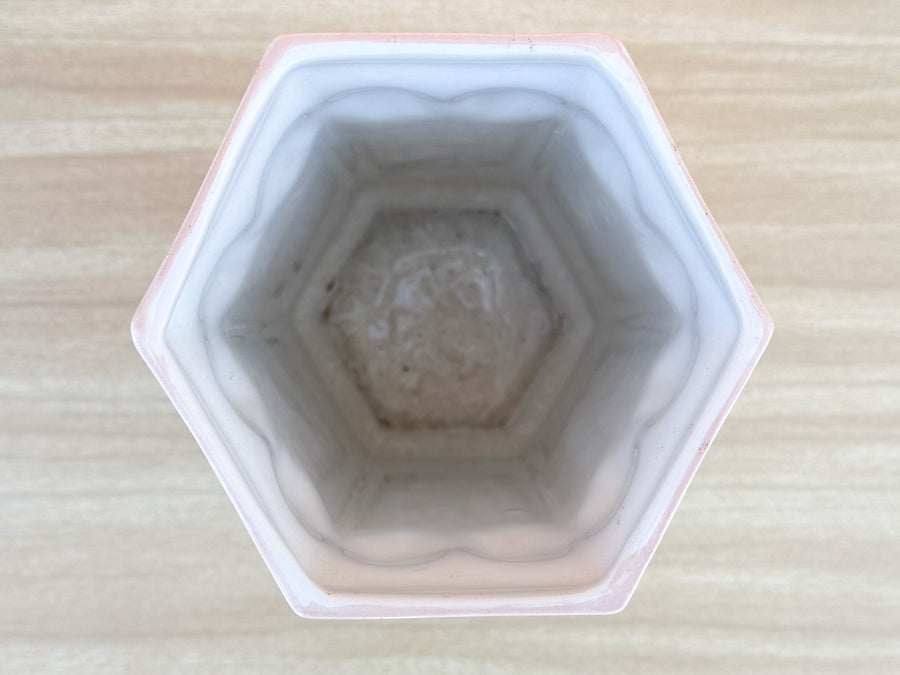 Italian Shell Vase