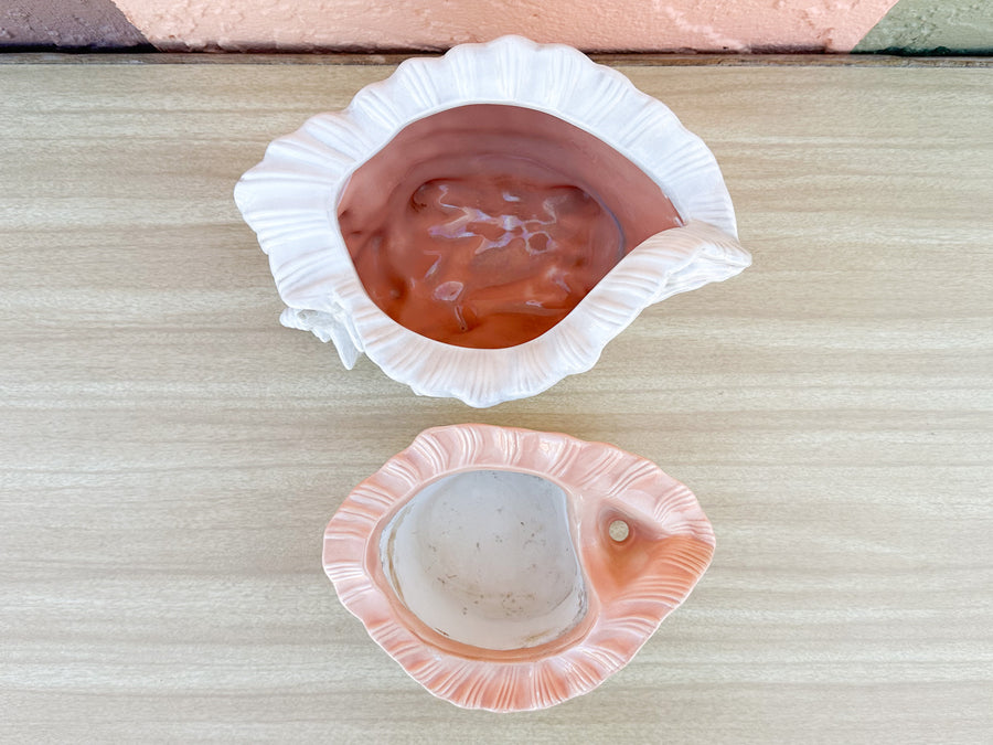 Double Conch Shell Pink Cachepot