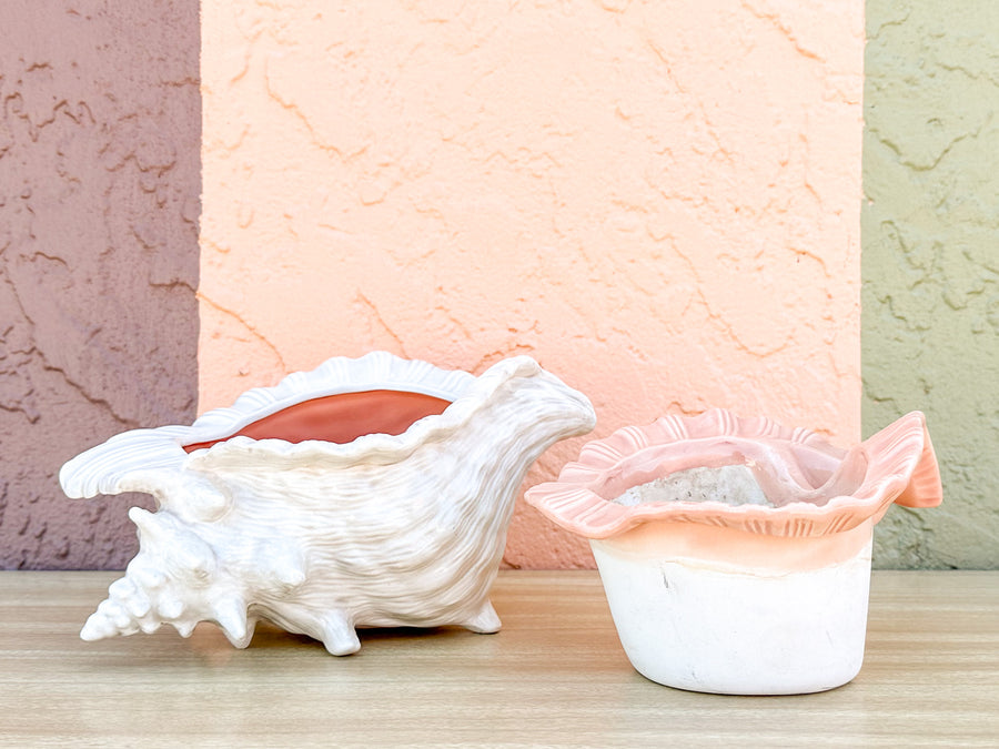 Double Conch Shell Pink Cachepot
