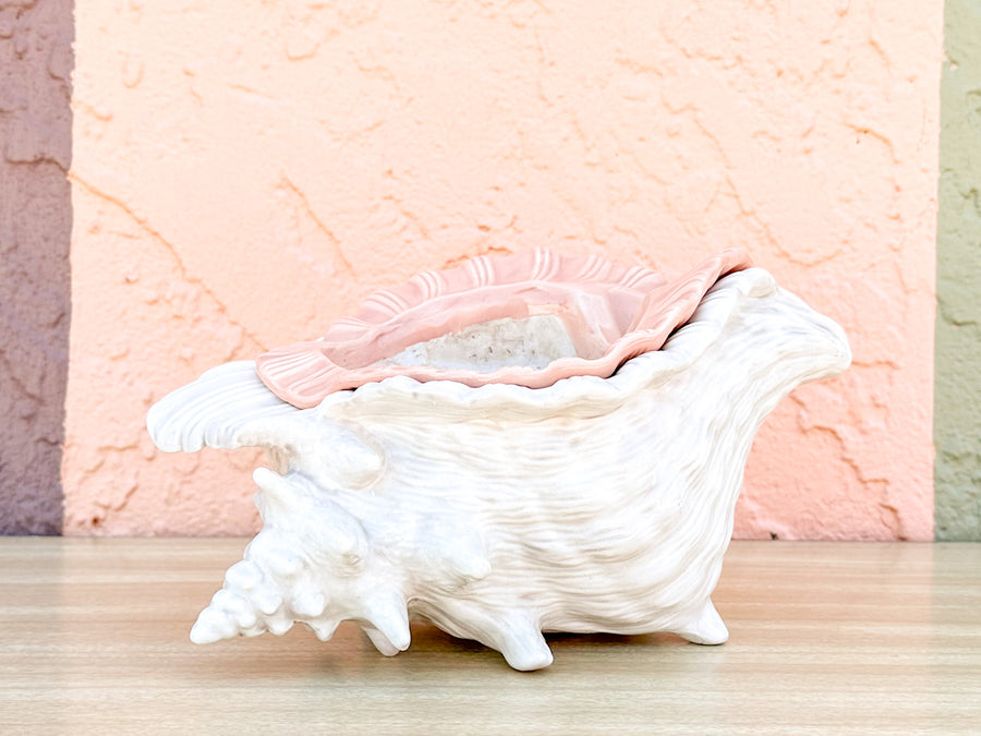 Double Conch Shell Pink Cachepot