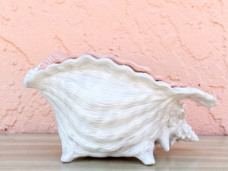 Double Conch Shell Pink Cachepot