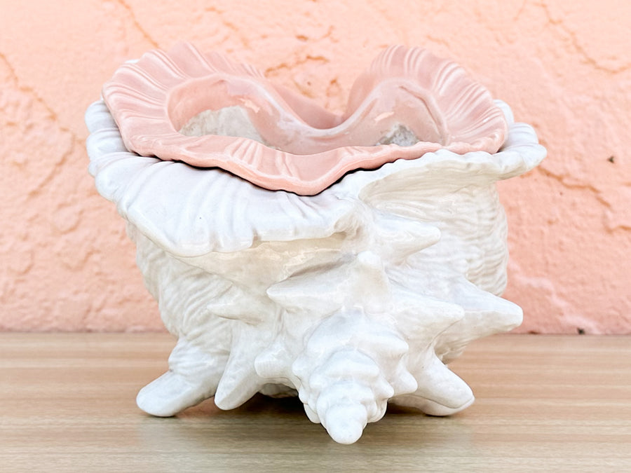Double Conch Shell Pink Cachepot