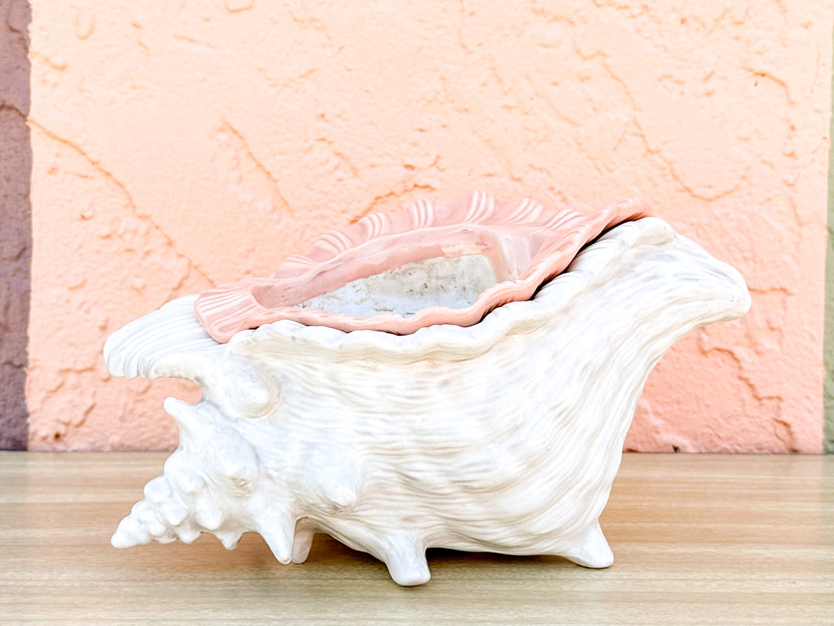Double Conch Shell Pink Cachepot