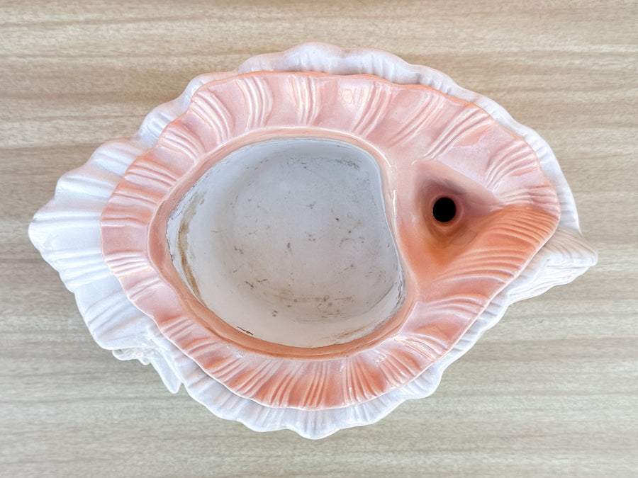 Double Conch Shell Pink Cachepot