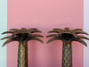 Pair of Brass Palm Tree Candle Holders