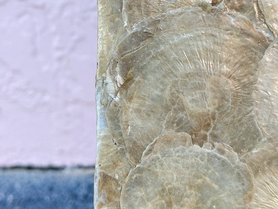 Capiz Shell Side Table