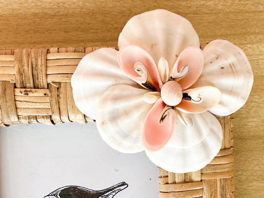 Natural Rattan Shell Frame