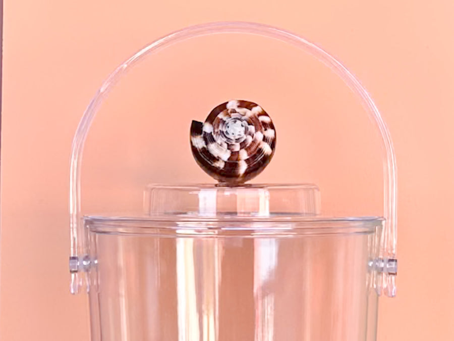 Brown Cone Shell Lucite Ice Bucket
