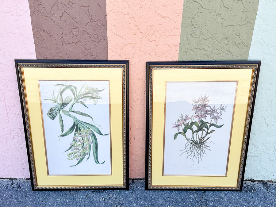Pair of Botanical Prints from The Breakers