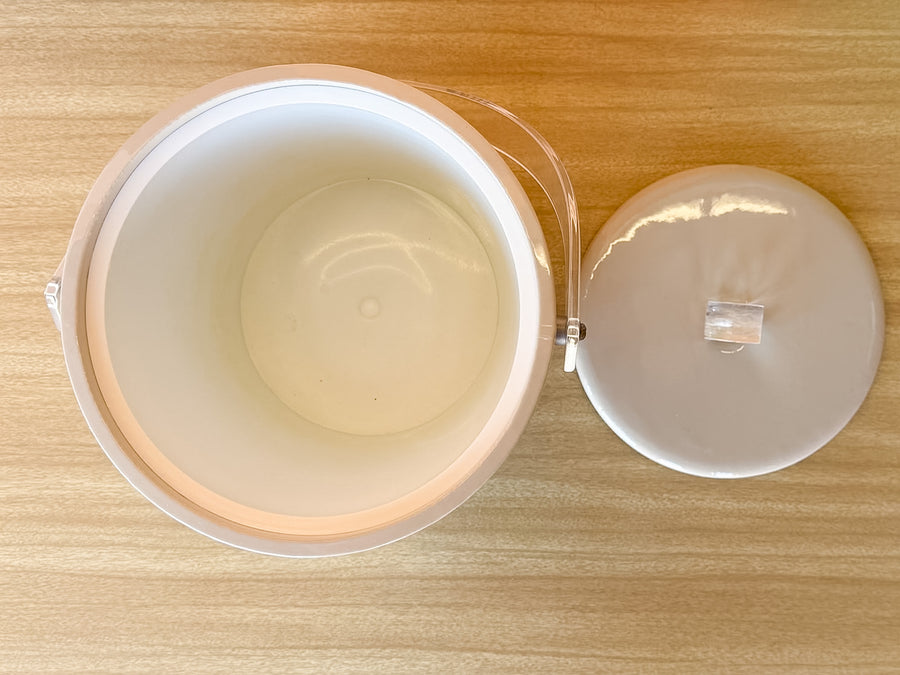 Nautilus Shell Ice Bucket