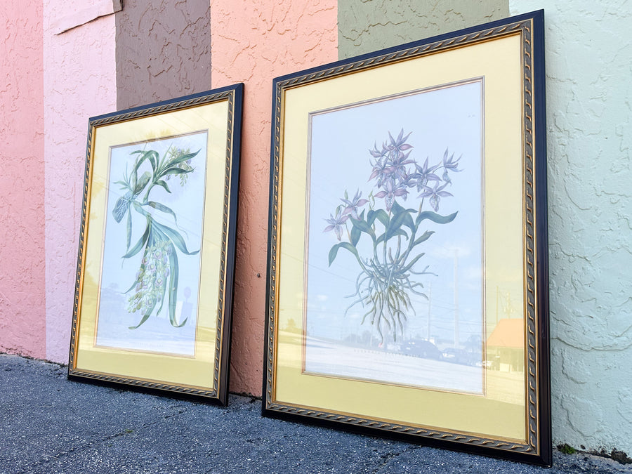 Pair of Botanical Prints from The Breakers
