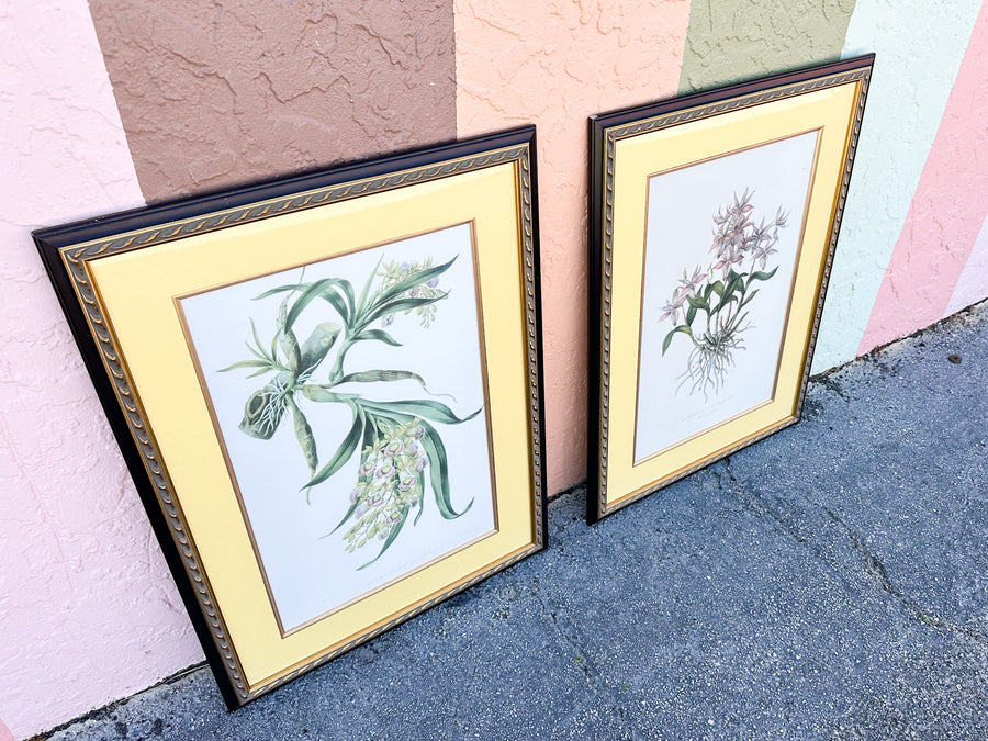Pair of Botanical Prints from The Breakers