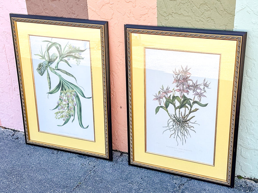 Pair of Botanical Prints from The Breakers