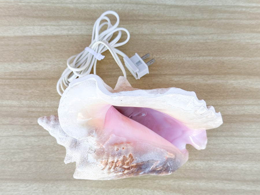 Conch Shell Lamp