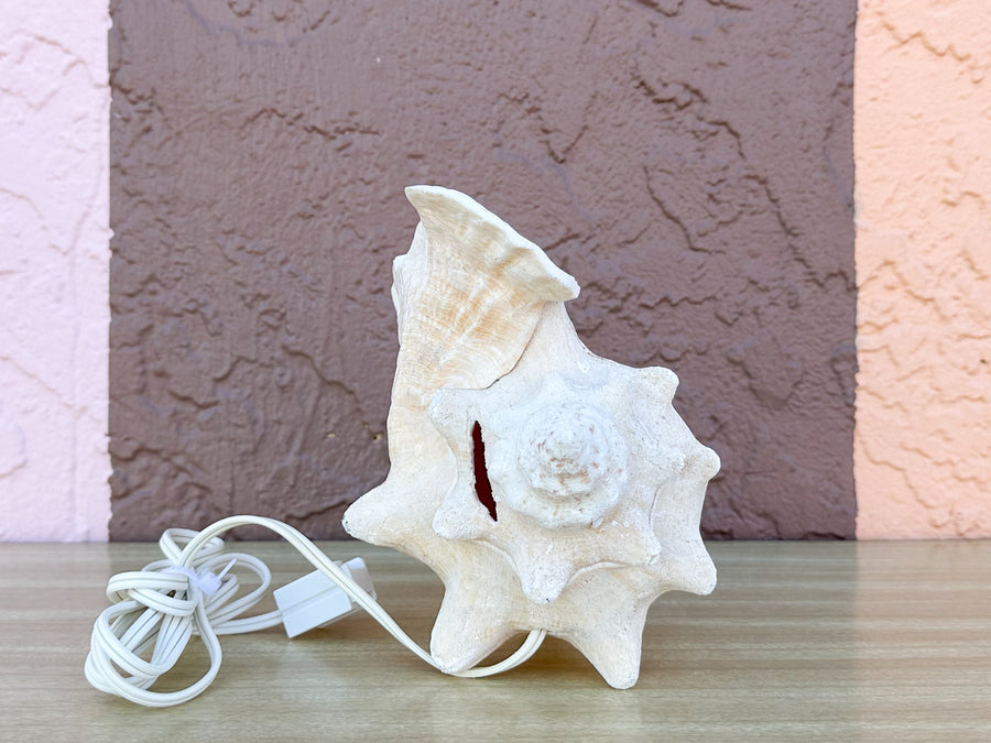 Conch Shell Lamp